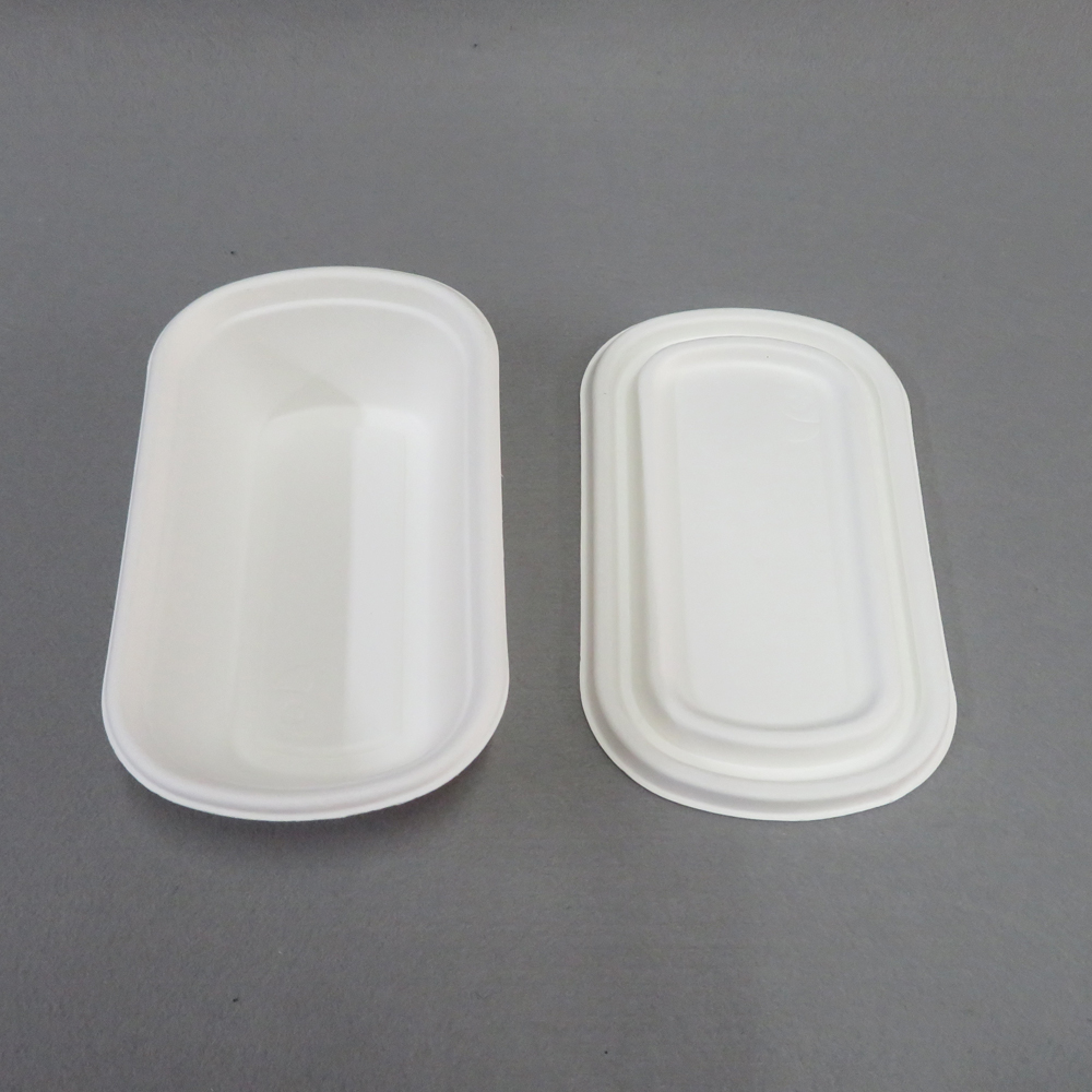 disposable containers with lids