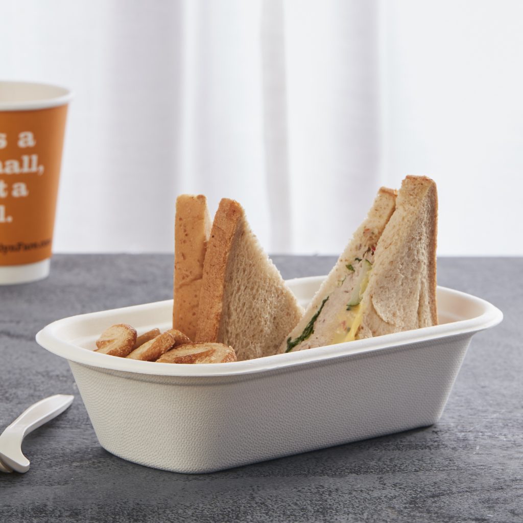 disposable containers with lids for food