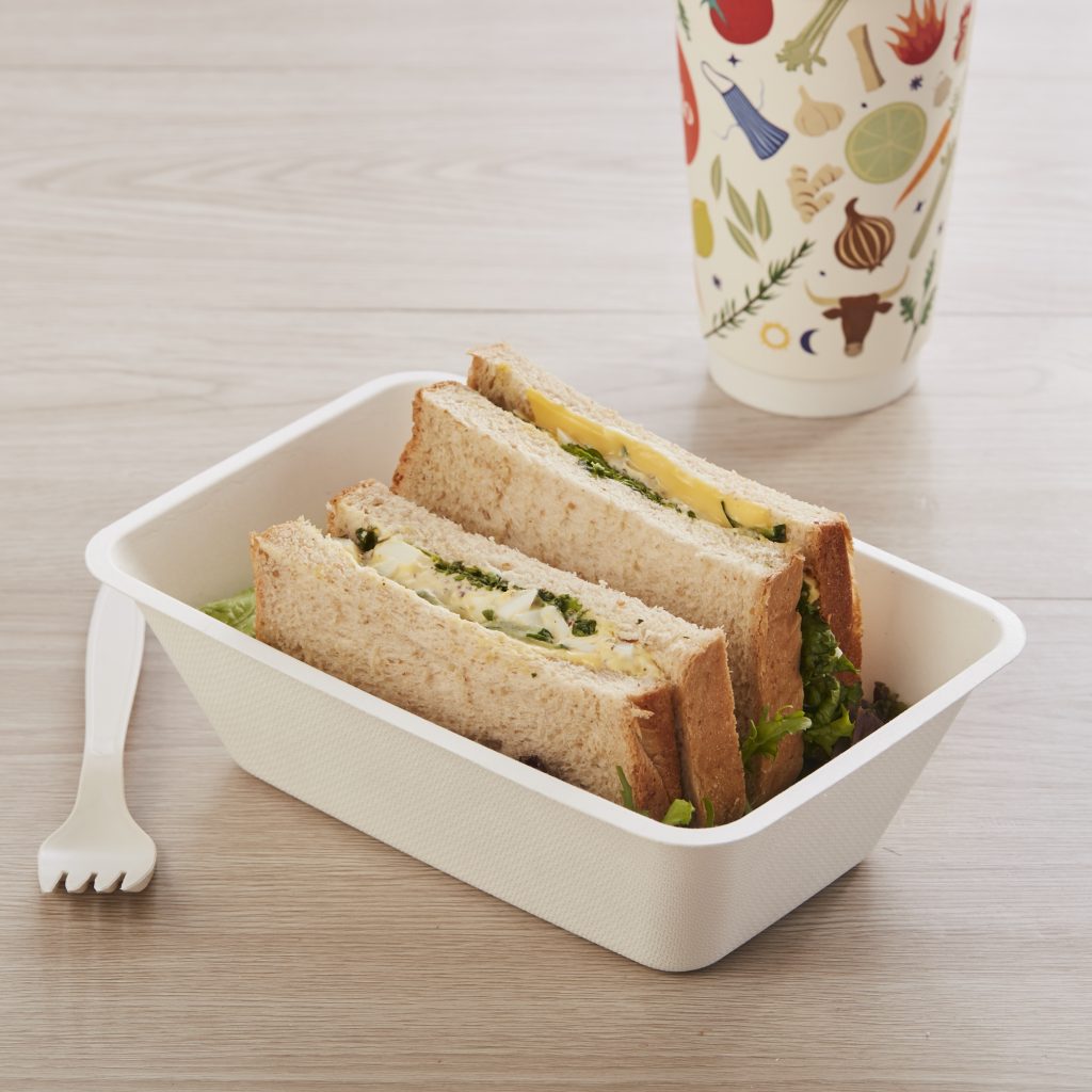 disposable food containers with lids