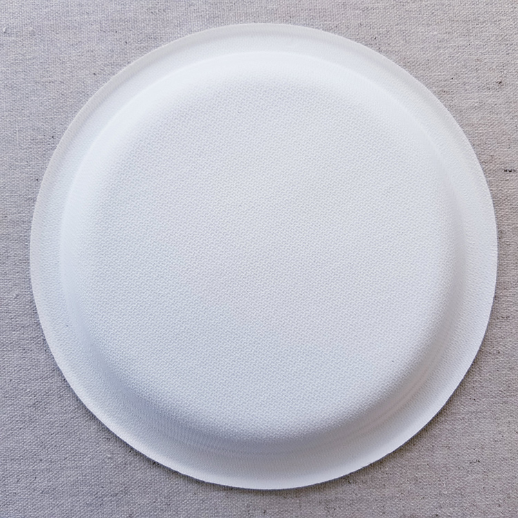 Plate Bagasse