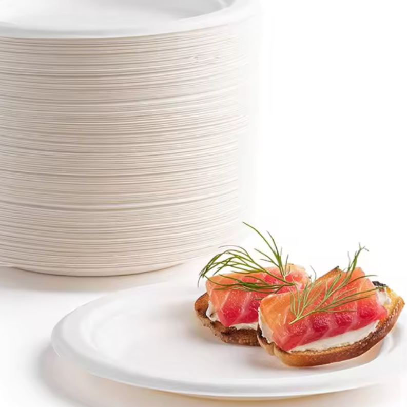 Eco friendly Disposable Paper Plates