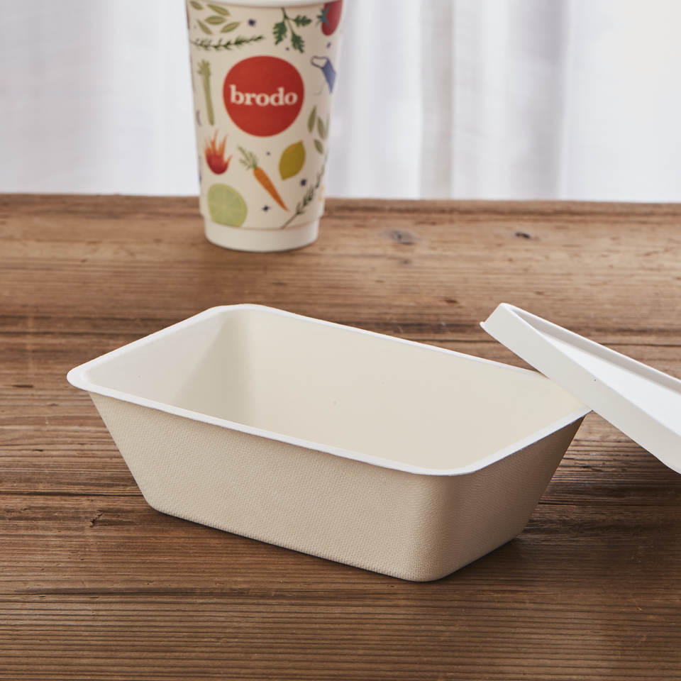 Disposable Biodegradable Takeaway Containers for Food