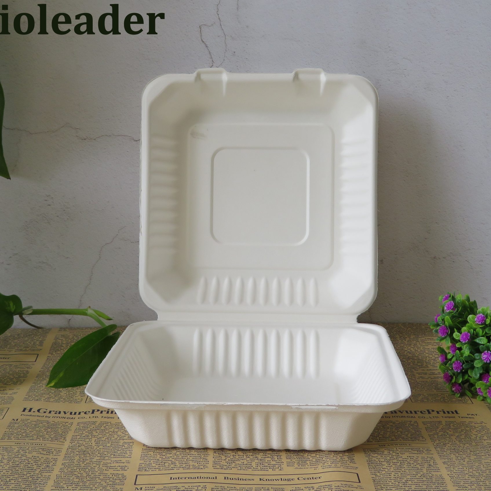 Eco Friendly Biodegradable Food Packaging for Takeaway