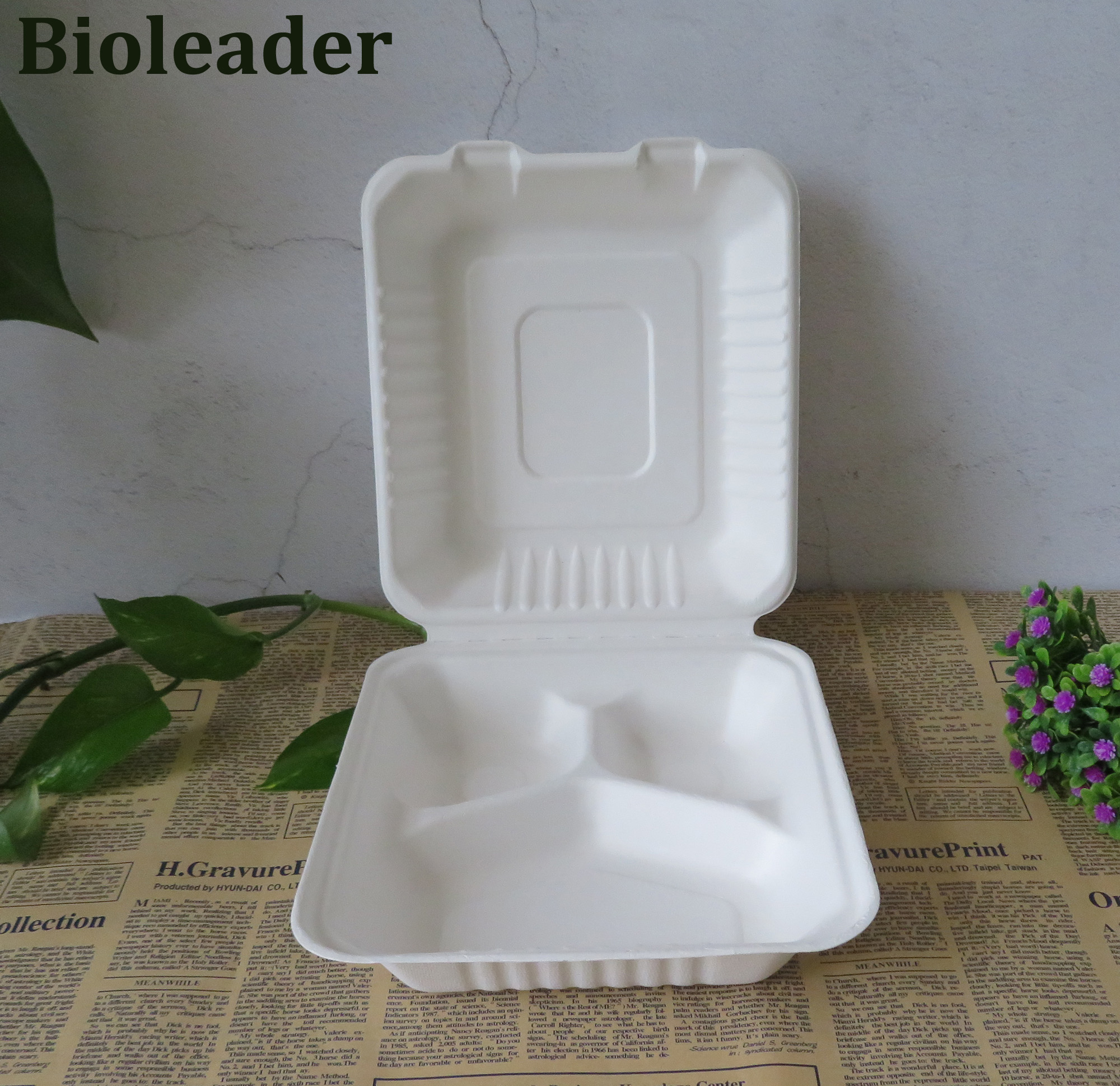 Eco Friendly Sugarcane Bagasse Takeaway Containers for Food