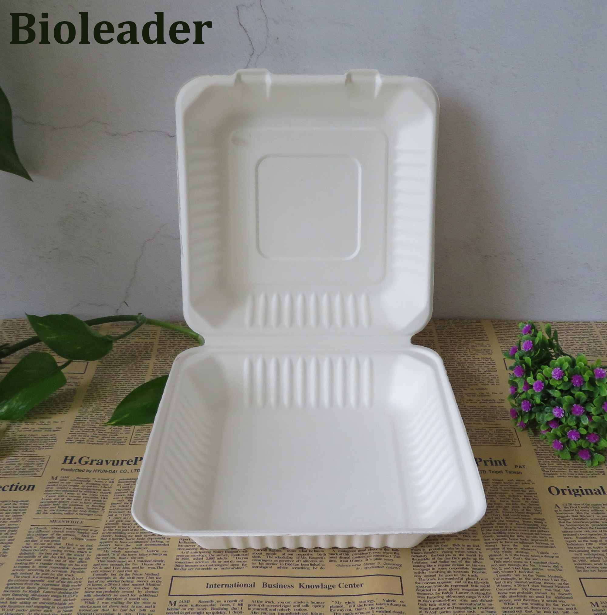 Biodegradable Eco Friendly Takeaway Containers