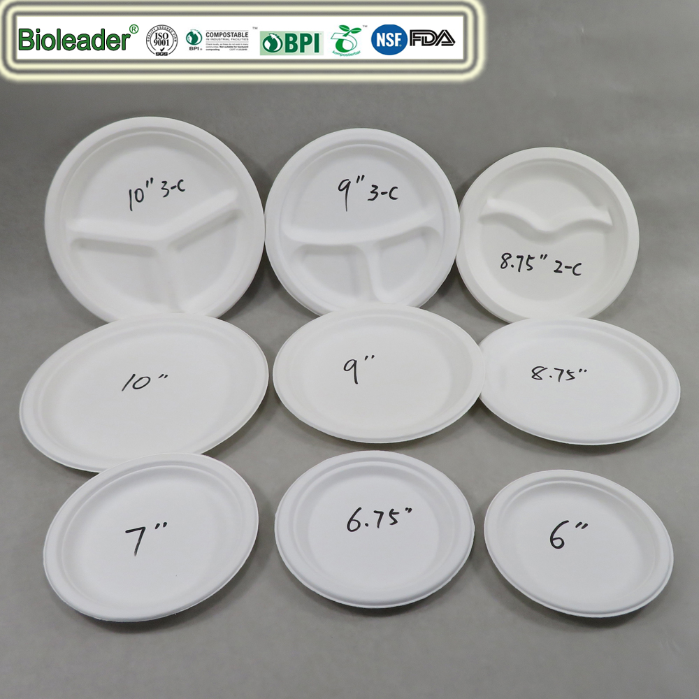 Sugarcane Bagasse Plate