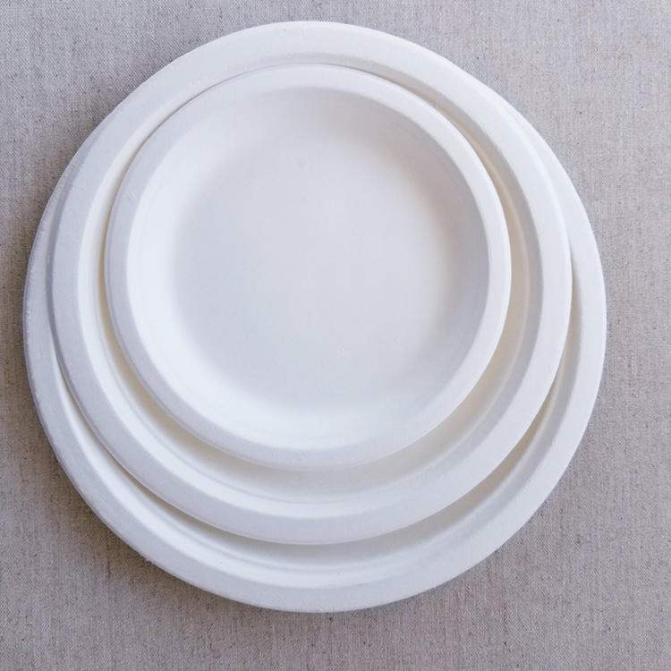 Custom Cheap Paper Plates