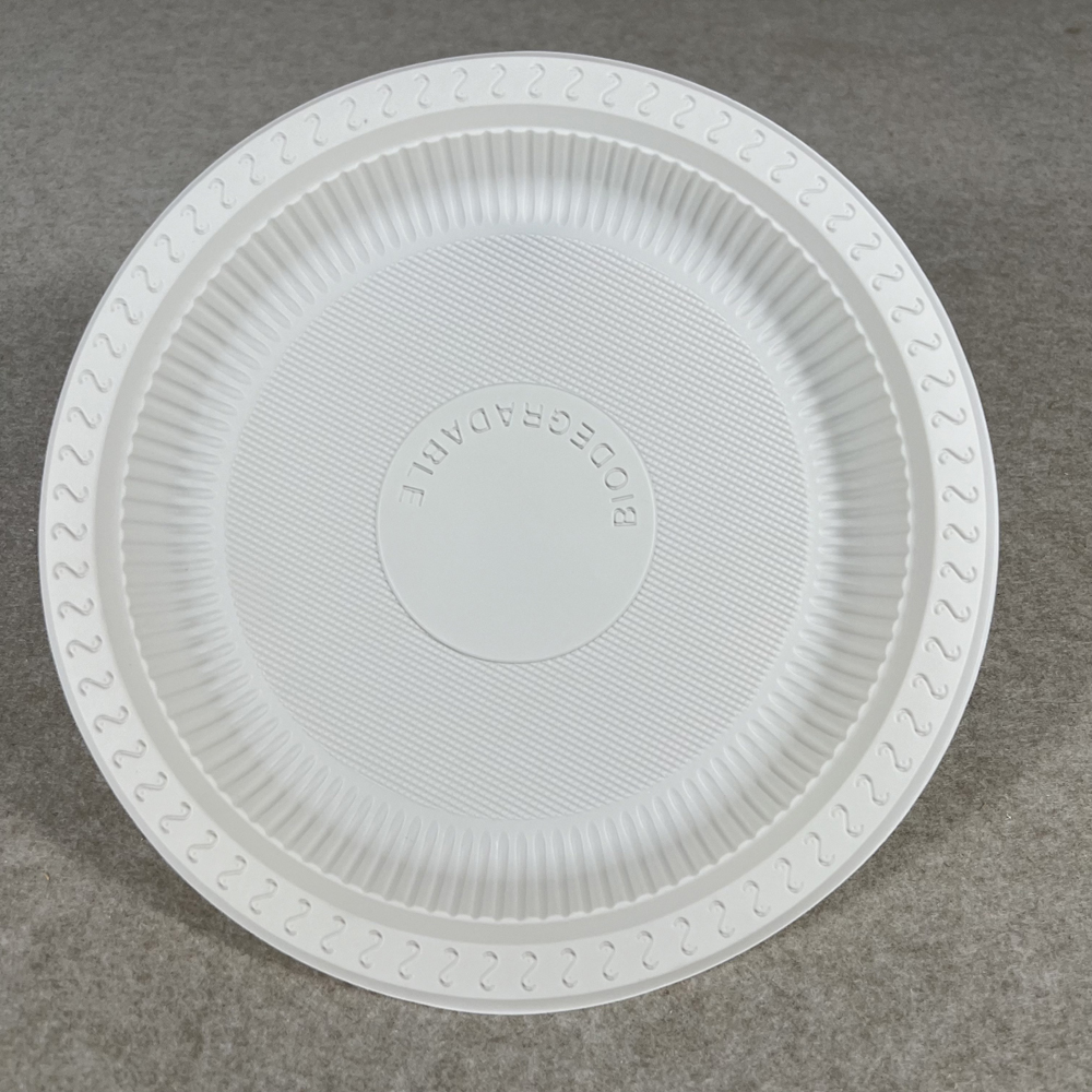 Compostable Plastic Plates for Party