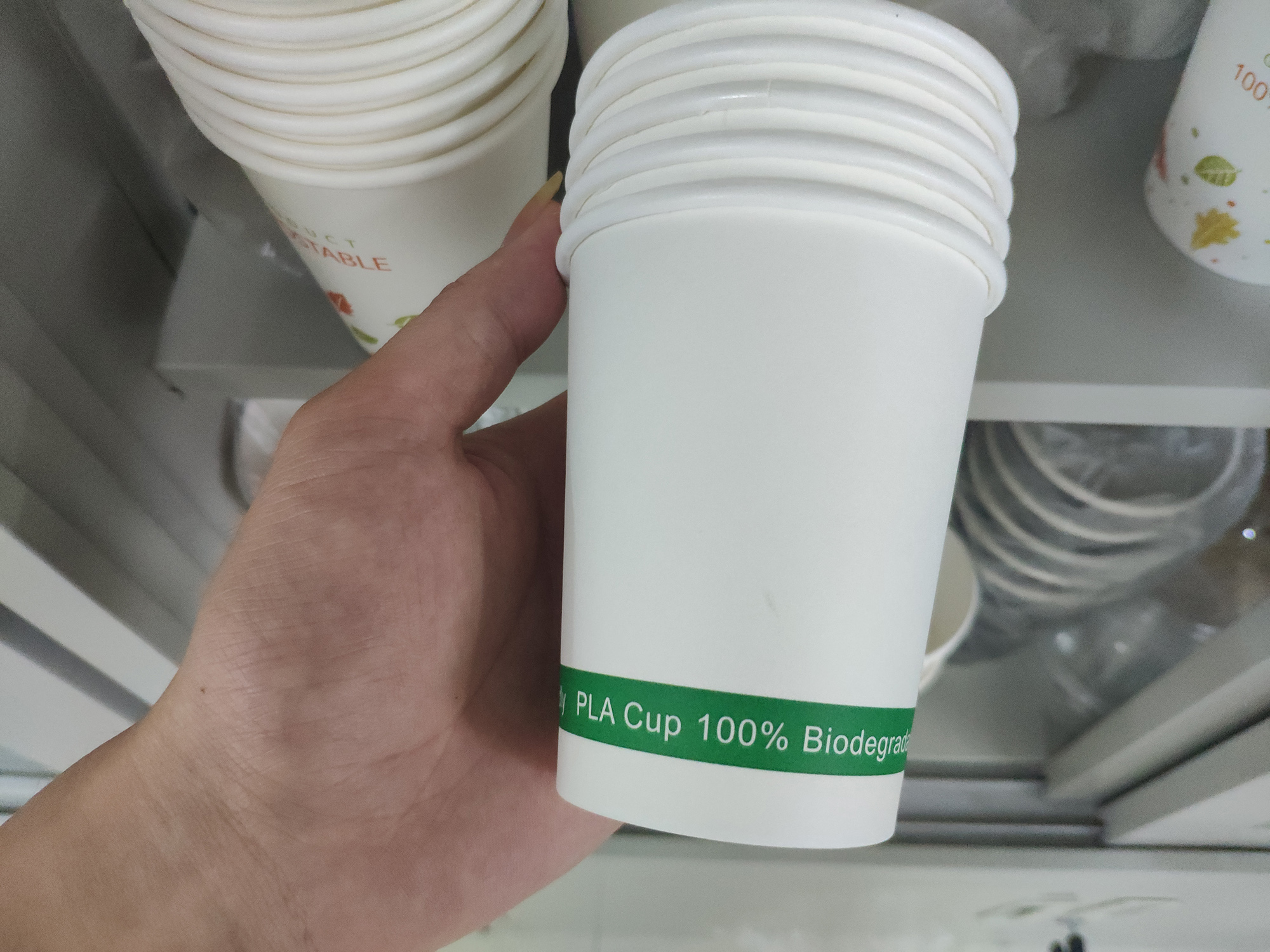 100% biodegradable paper cups